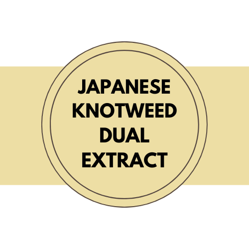 Japanese Knotweed Dual Extract
