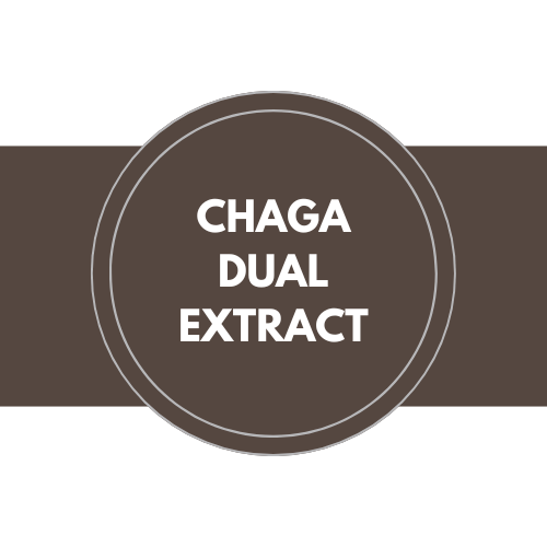 Chaga Dual Extract